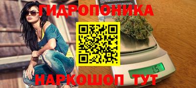 трава Кунгур