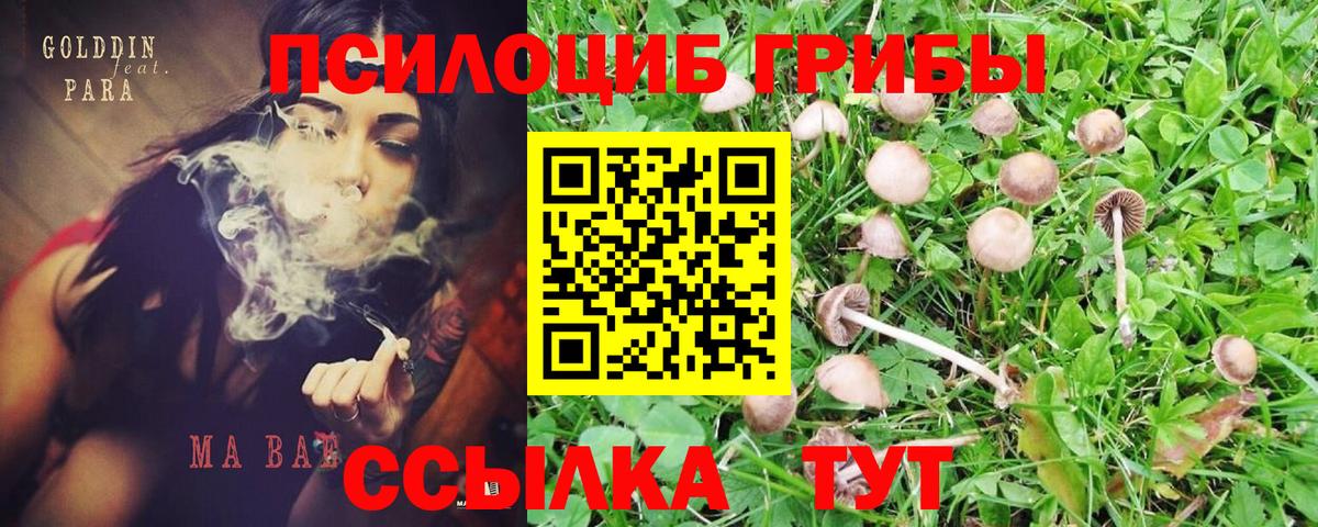 Галлюциногенные грибы ЛСД  купить наркотик  Иркутск  Вход с VPN 